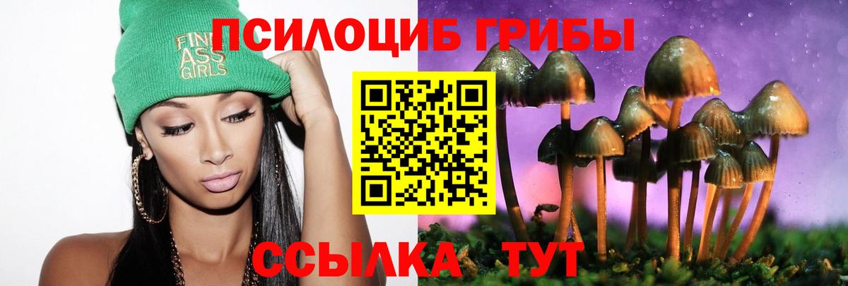 где купить наркоту  Псилоцибиновые грибы мухоморы  Вход с VPN  Псилоцибиновые грибы Magic Shrooms  Тулун 